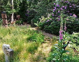 Unterkunft 542626 - Ferienhaus Vechtstreek - Vakantiehuisje in Lemele