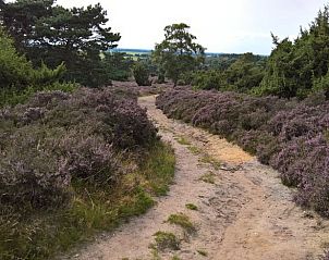 Unterkunft 542626 - Ferienhaus Vechtstreek - Vakantiehuisje in Lemele