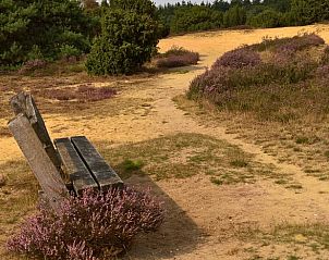 Unterkunft 542626 - Ferienhaus Vechtstreek - Vakantiehuisje in Lemele