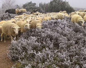 Unterkunft 542626 - Ferienhaus Vechtstreek - Vakantiehuisje in Lemele