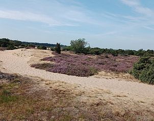 Unterkunft 542626 - Ferienhaus Vechtstreek - Vakantiehuisje in Lemele