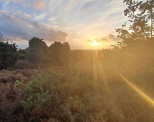 Guest house 542627 - Holiday property Vechtstreek - Vakantiehuis in Lemele