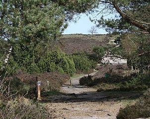 Guest house 542627 - Holiday property Vechtstreek - Vakantiehuis in Lemele