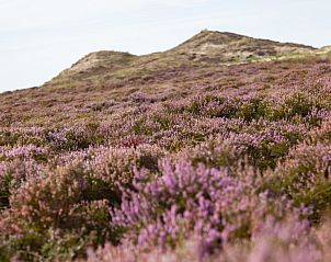 Guest house 542628 - Holiday property Vechtstreek - OV650