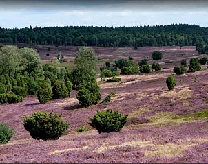 Guest house 542628 - Holiday property Vechtstreek - OV650