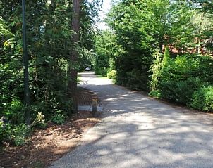 Guest house 542635 - Holiday property Vechtstreek - Huisje in Lemele