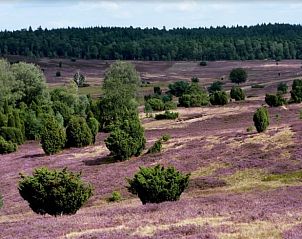 Guest house 542635 - Holiday property Vechtstreek - Huisje in Lemele