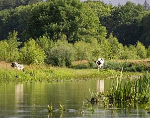 Guest house 542635 - Holiday property Vechtstreek - Huisje in Lemele