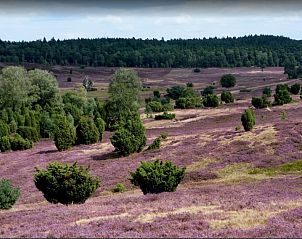 Unterkunft 542641 - Ferienhaus Vechtstreek - OV677