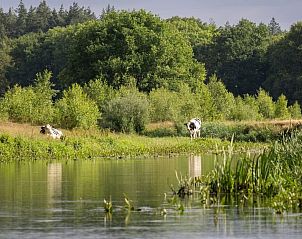 Unterkunft 542641 - Ferienhaus Vechtstreek - OV677