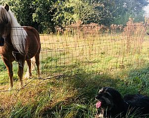 Guest house 542710 - Holiday property Vechtstreek - Vakantiehuis in Radewijk