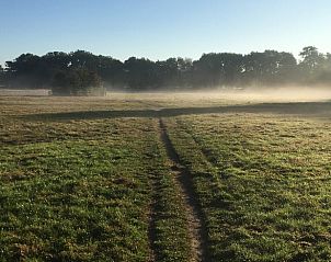 Guest house 542710 - Holiday property Vechtstreek - Vakantiehuis in Radewijk