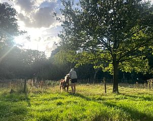 Guest house 542710 - Holiday property Vechtstreek - Vakantiehuis in Radewijk