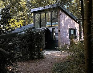 Guest house 542822 - Holiday property Vechtstreek - Cozy Boshuisje in het Vechtdal