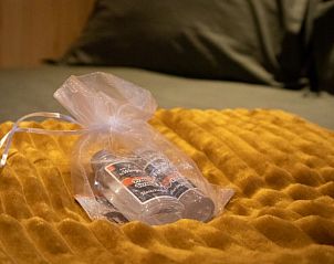 Unterkunft 542905 - Ferienhaus Vechtstreek - Vakantiehuis in Bruchterveld