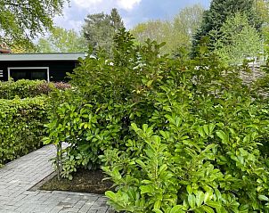 Unterkunft 542907 - Ferienhaus Vechtstreek - Vakantiehuis in Bruchterveld