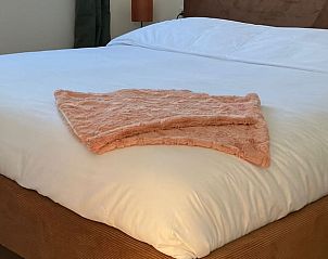 Unterkunft 542910 - Ferienhaus Vechtstreek - Huisje in Bruchterveld