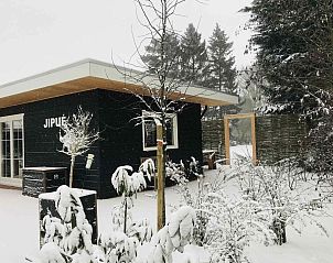 Unterkunft 542911 - Ferienhaus Vechtstreek - OV527