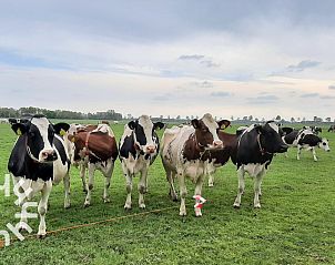Comfortabele slaapkamer in OV636 vakantiehuis, Beerzerveld, Vechtstreek, met twee bedden.