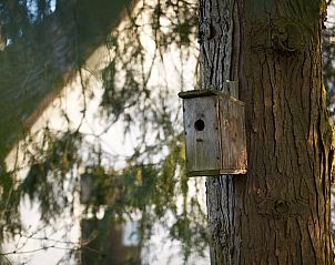 Guest house 543102 - Holiday property Vechtstreek - Vakantiehuisje in Den Velde