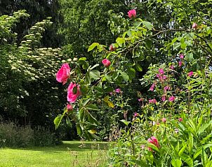 Guest house 543102 - Holiday property Vechtstreek - Vakantiehuisje in Den Velde