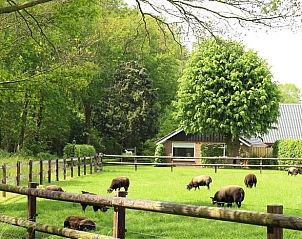 Unterkunft 543405 • Ferienhaus Vechtstreek • Vakantiehuisje in Lemelerveld 