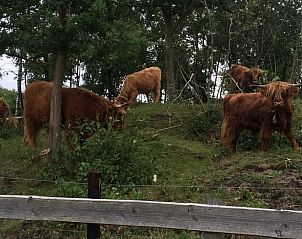 Unterkunft 543601 - Ferienhaus Vechtstreek - Vakantiehuisje in Kloosterhaar