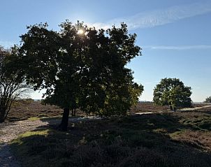 Unterkunft 543602 - Ferienhaus Vechtstreek - Vakantiehuisje in Kloosterhaar