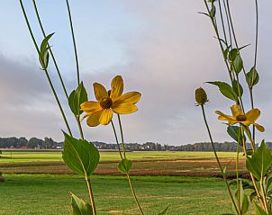 Verblijf 543603 - Vakantiewoning Vechtstreek - Vakantiehuisje in Kloosterhaar