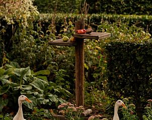 Verblijf 543603 - Vakantiewoning Vechtstreek - Vakantiehuisje in Kloosterhaar