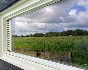Raam met uitzicht op natuur bij Vakantiehuisje in Vinkenbuurt, Vechtstreek, Overijssel.