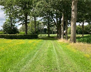 Groene paden rondom Vakantiehuisje in Vinkenbuurt, Vechtstreek, Overijssel.