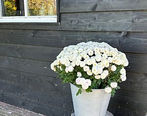 Unterkunft 544701 - Ferienhaus Vechtstreek - Vakantiehuisje in Witharen