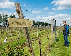 Unterkunft 544701 - Ferienhaus Vechtstreek - Vakantiehuisje in Witharen