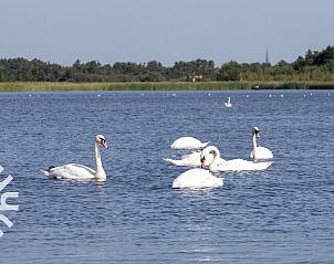 Intieme zithoek op het terras van vakantiehuis OV269 in Giethoorn, Noordwest Overijssel.