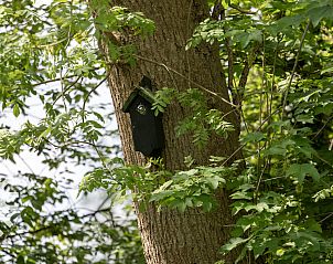 Ruime slaapkamer met comfortabel bed in vakantiehuis OV269 in Giethoorn, Noordwest Overijssel.