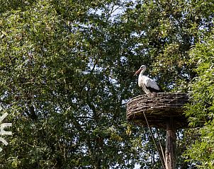 Luchtfoto van vakantiehuis OV269 in Giethoorn, Noordwest Overijssel, met omliggende natuur.