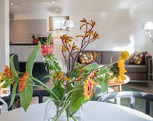 Rustige vijver met bankjes bij vakantiehuis OV269 in Giethoorn, Noordwest Overijssel, ideaal voor ontspanning.