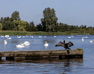 Unterkunft 5501116 - Ferienhaus Noordwest Overijssel - OV793