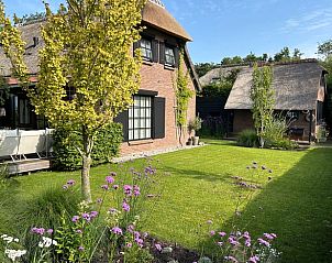 Groene tuin bij vakantiehuisje in Giethoorn, perfect voor ontspanning.