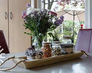 Unterkunft 550122 - Ferienhaus Noordwest Overijssel - OV480