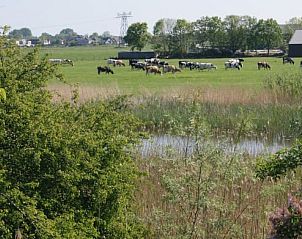Verblijf 550213 - Tenthuis Noordwest Overijssel - Safaritent