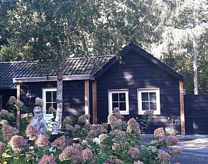 Unterkunft 550407 - Ferienhaus Noordwest Overijssel - Vakantiehuisje in De Bult