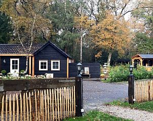 Unterkunft 550407 - Ferienhaus Noordwest Overijssel - Vakantiehuisje in De Bult