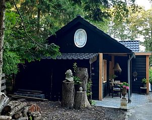 Unterkunft 550407 - Ferienhaus Noordwest Overijssel - Vakantiehuisje in De Bult