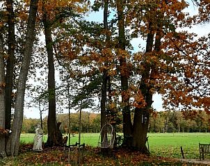 Unterkunft 550407 - Ferienhaus Noordwest Overijssel - Vakantiehuisje in De Bult