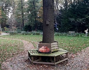 Unterkunft 550407 - Ferienhaus Noordwest Overijssel - Vakantiehuisje in De Bult