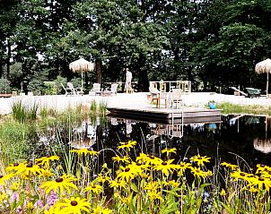 Unterkunft 550411 - Ferienhaus Noordwest Overijssel - Vakantiehuisje in De Bult