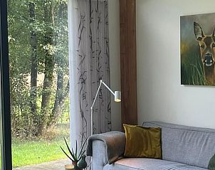 Gezellige zithoek in Huisje in De Bult met uitzicht op Overijsselse natuur.