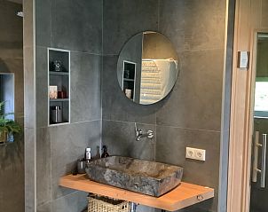 Luxe badkamer met natuursteen wastafel in Huisje in De Bult, Overijssel.